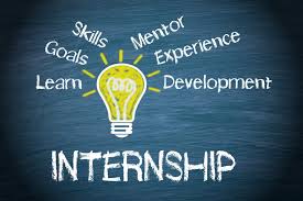 Read more about the article Internship 2019