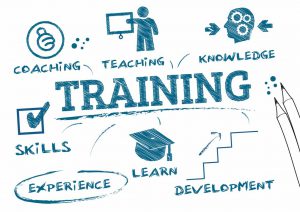 Read more about the article Training at Socnet
